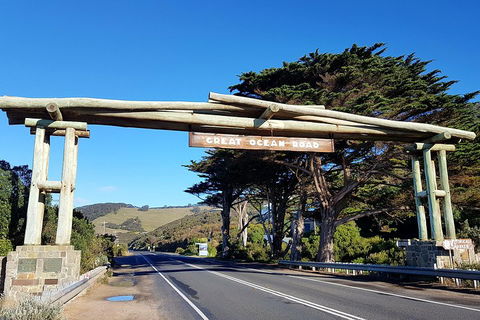 Great Ocean Road Adventure - Private Tour - Reverse - Restaurant Canberra 5