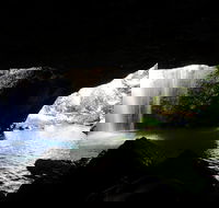 Rainforest  Waterfalls Extravaganza - Restaurant Canberra