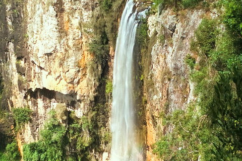 Natural Arch, Rainforest & Volcano Canyon - Private Half Day Tour - Restaurant Canberra 2