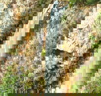 Private Tour - Rainforest  Waterfalls Extravaganza - Restaurant Canberra