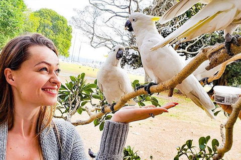 Sydney Private Tour Featuring Wilderness, Wildlife, Waves, Waterfalls And Wine - Restaurant Canberra 4