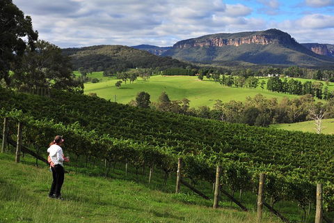 Private Blue Mountains And Winery Day-Trip From Sydney - Restaurant Canberra 2