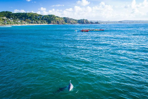 The Byron Bay Sea Kayak Tour - Restaurant Canberra 2