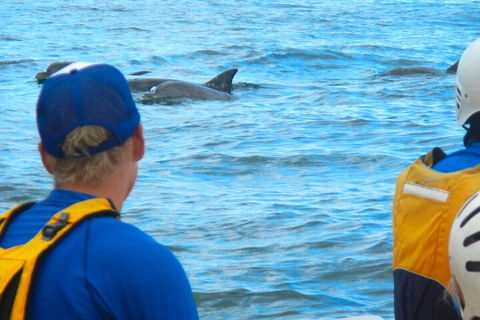 The Byron Bay Sea Kayak Tour - Restaurant Canberra 4