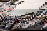 Phillip Island and French Island Wildlife Expedition, Melbourne