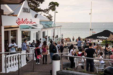Phillip Island And French Island Wildlife Expedition - Restaurant Canberra 0