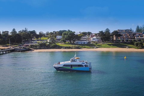 Phillip Island And French Island Wildlife Expedition - Restaurant Canberra 2