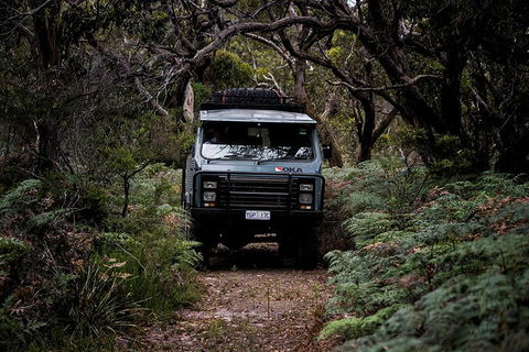 Phillip Island And French Island Wildlife Expedition - Restaurant Canberra 4
