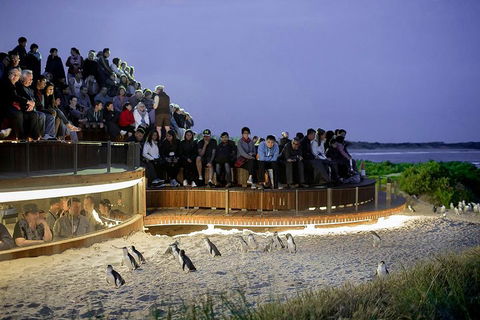 Phillip Island And French Island Wildlife Expedition - Restaurant Canberra 5