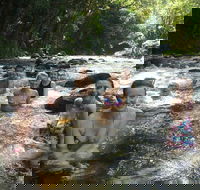 Daintree Rainforest Cape Tribulation Mossman Gorge Small-Group Day Tour - Restaurant Canberra