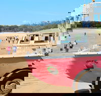 1770 Coastline Tour by LARC Amphibious Vehicle Including Picnic Lunch - Restaurant Canberra