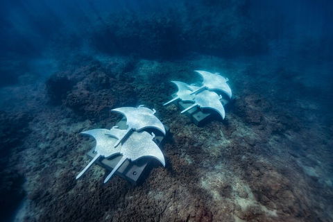 Premium Private Charter - Restaurant Canberra 3