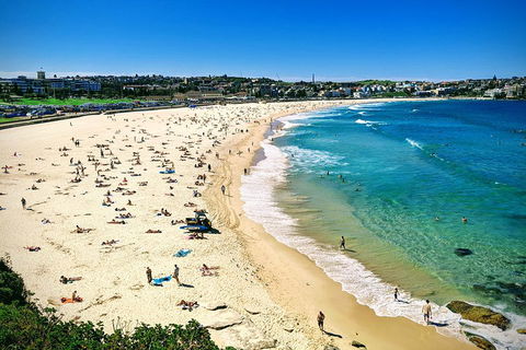 Sydney & Bondi Beach Plus Local Secrets With 'Personalised Sydney Tours' - Restaurant Canberra 5