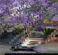 Sydney Secrets  Bondi Beach Private 4 Hr Morning with Personalised Sydney Tours - Restaurant Canberra
