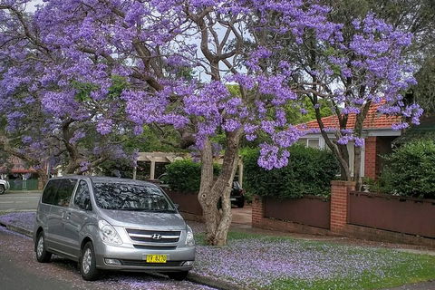 Sydney Secrets & Bondi Beach Private 4 Hr Morning With Personalised Sydney Tours - Restaurant Canberra 0