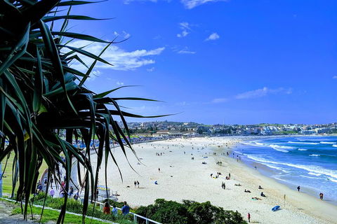Sydney Secrets & Bondi Private 4 Hour Afternoon With 'Personalised Sydney Tours' - Restaurant Canberra 0