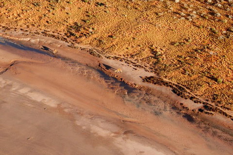 Scenic Flight: Lizard Safari - Restaurant Canberra 0