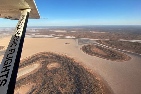 Scenic Flight: Lizard Safari - Restaurant Canberra 3