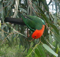 3-Day Private Adelaide to Melbourne tour - Restaurant Canberra
