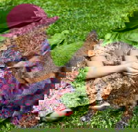 Kuranda Day Tour  HotAir Balloon Combo - Restaurant Canberra