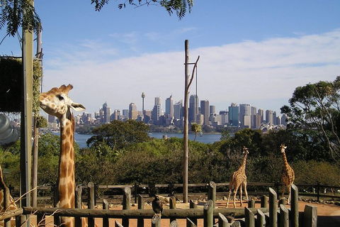 Sydney Taronga Zoo's Australian Animals Tour - Restaurant Canberra 4