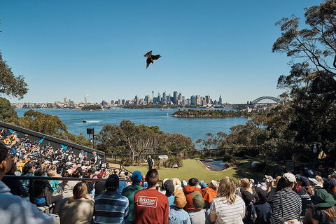 Sydney Taronga Zoo's Australian Animals Tour - Restaurant Canberra 5