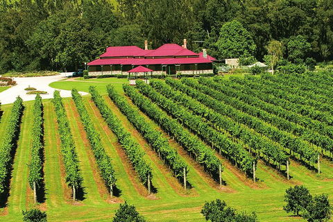 O'Reilly's & Lamington National Park From Gold Coast - Restaurant Canberra 2