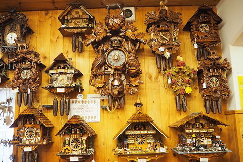 O'Reilly's & Lamington National Park From Gold Coast - Restaurant Canberra 5