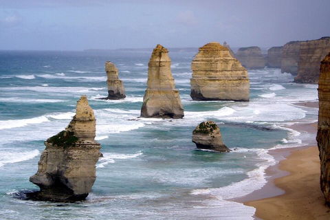 LGBT+ Friendly 2 Day Private Tour Great Ocean Road + Phillip Island - Restaurant Canberra 0