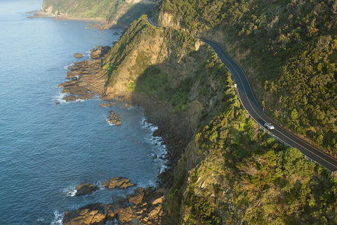LGBT+ Friendly 2 Day Private Tour Great Ocean Road + Phillip Island - Restaurant Canberra 4