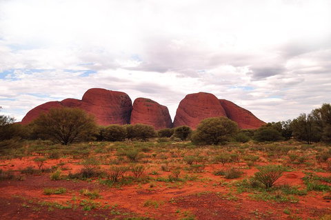 Ayers Rock 4 Tour Combo: Complete Uluru Base Walk At Sunrise, Valley Of The Winds At Sunrise, Kata Tjuta Sunset And Uluru Sunset - Restaurant Canberra 1