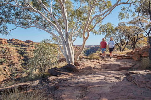 3-Day Tour From Uluru (Ayers Rock) To Alice Springs Via Kings Canyon - Restaurant Canberra 1
