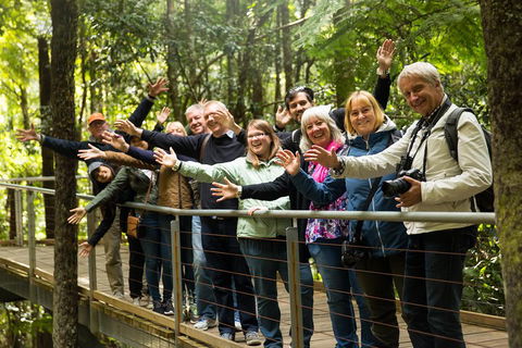 All Inclusive Blue Mountains Small-Group Day Trip From Sydney - Restaurant Canberra 5