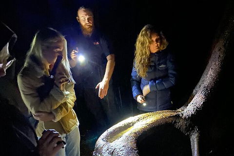 Evening Rainforest & Glow Worm Experience - Restaurant Canberra 2