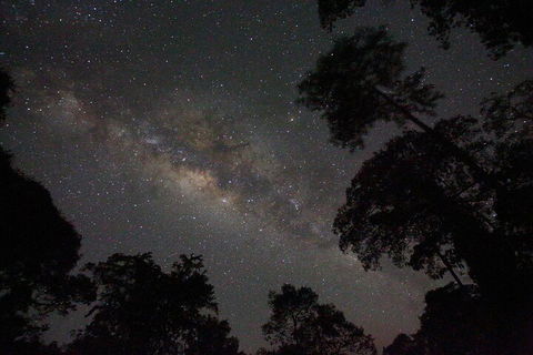 Evening Rainforest & Glow Worm Experience - Restaurant Canberra 4