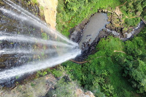 Natural Bridge & Springbrook Waterfalls Tour + Hot Air Balloon With Breakfast - Restaurant Canberra 1
