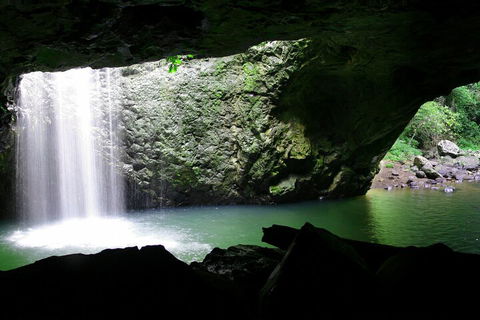 Natural Bridge & Springbrook Waterfalls Tour + Hot Air Balloon With Breakfast - Restaurant Canberra 2