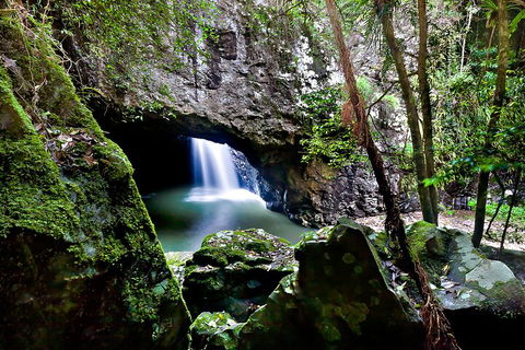 Natural Bridge & Springbrook Waterfalls Tour + Hot Air Balloon With Breakfast - Restaurant Canberra 4