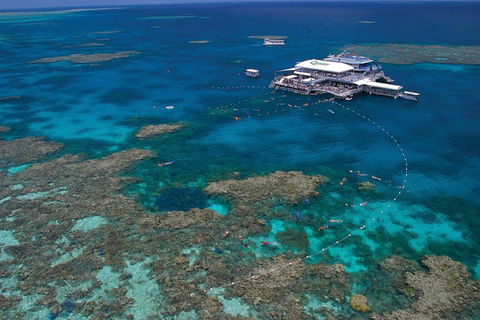 Ultimate 3-Day Great Barrier Reef Cruise Pass - Restaurant Canberra 3
