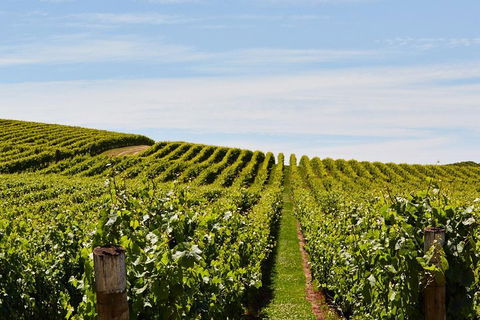 West Tamar Wine Tour - Restaurant Canberra 2