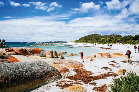 Wineglass Bay Private Charter Service - Restaurant Canberra 3