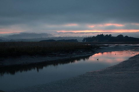 Launceston Private Charter Service - Restaurant Canberra 1