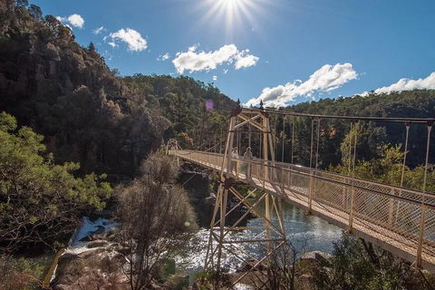 Launceston Private Charter Service - Restaurant Canberra 5