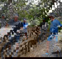 Fully guided E-Mountain Bike Tour on the beautiful Mornington Peninsula. - Restaurant Canberra