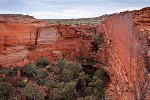 Uluru, Kata Tjuta And Kings Canyon Camping Safari From Ayers Rock - Restaurant Canberra 1