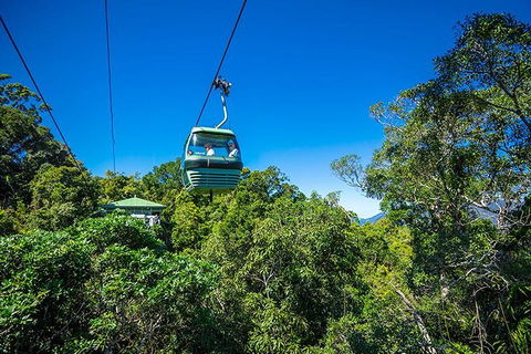 Skyrail Rainforest Cableway Day Trip From Cairns - Restaurant Canberra 1