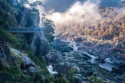 3.5 Hours Walking Tour To Cataract Gorge With Local Guide - Restaurant Canberra 1