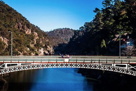 3.5 Hours Walking Tour To Cataract Gorge With Local Guide - Restaurant Canberra 4