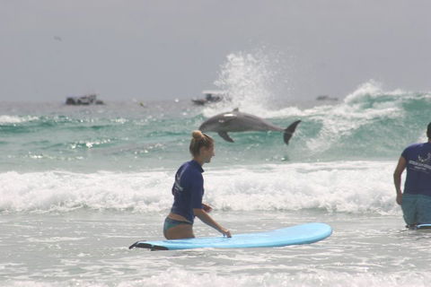 10-Day Surf Adventure From Sydney To Brisbane Including Coffs Harbour, Byron Bay And Gold Coast - Restaurant Canberra 0