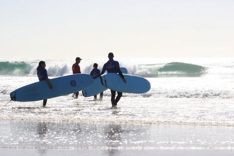 10-Day Surf Adventure From Sydney To Brisbane Including Coffs Harbour, Byron Bay And Gold Coast - Restaurant Canberra 2